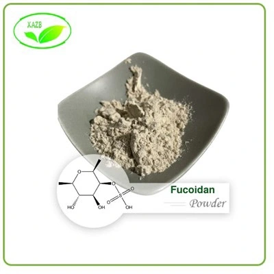 Fucoidan Powder Fucoidan Powder